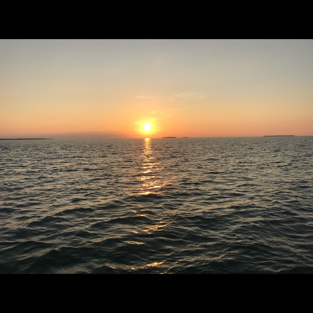 Meet your Posher, Sherrie